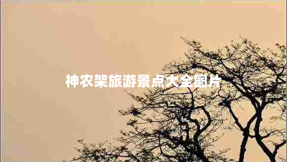 神農架旅游景點(diǎn)大全圖片