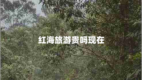 紅海旅游貴嗎現在
