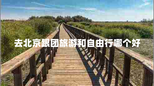去北京跟團旅游和自由行哪個(gè)好