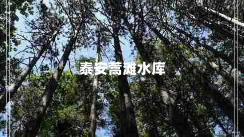 泰安蒿灘水庫