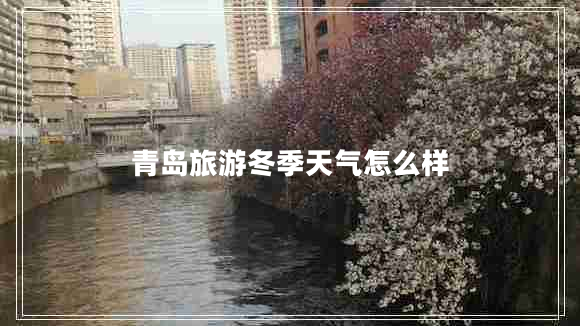 青島旅游冬季天氣怎么樣