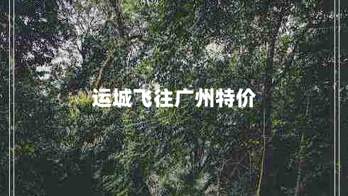 運城飛往廣州特價