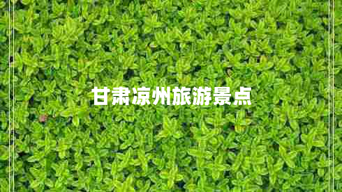 甘肅涼州旅游景點