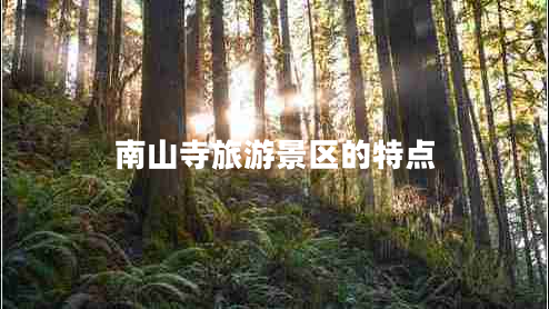 南山寺旅游景區的特點(diǎn)