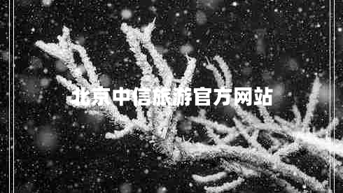 北京中信旅游官方網(wǎng)站
