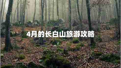4月的長(cháng)白山旅游攻略
