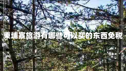 柬埔寨旅游有哪些可以買(mǎi)的東西免稅