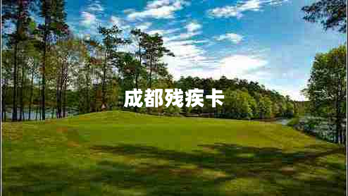 成都殘疾卡
