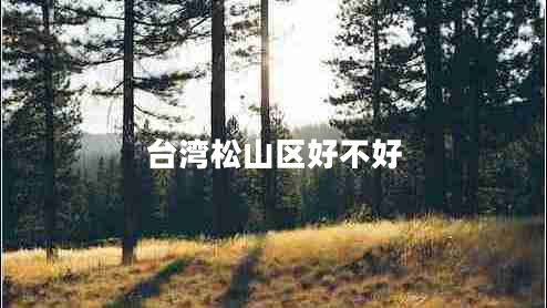 臺灣松山區好不好