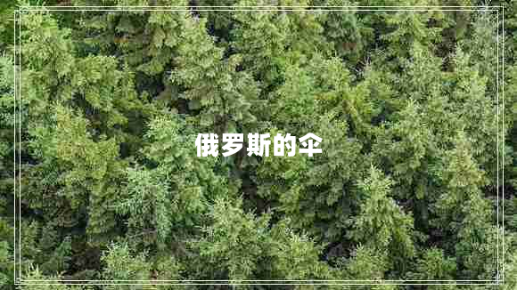 俄羅斯的傘