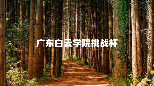廣東白云學(xué)院挑戰杯