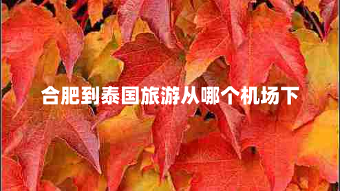 合肥到泰國旅游從哪個(gè)機場(chǎng)下