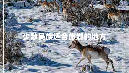 少數民族適合旅游的地方