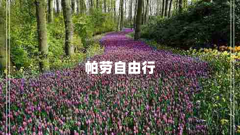 帕勞自由行