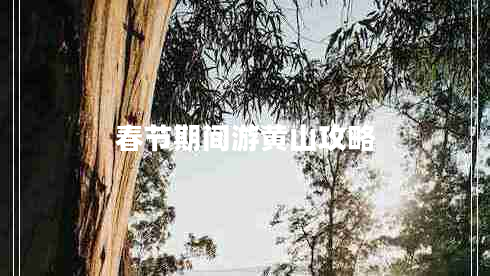 春節期間游黃山攻略