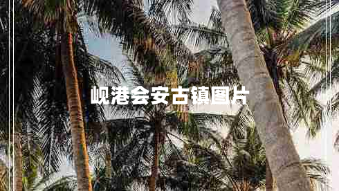 峴港會(huì )安古鎮圖片