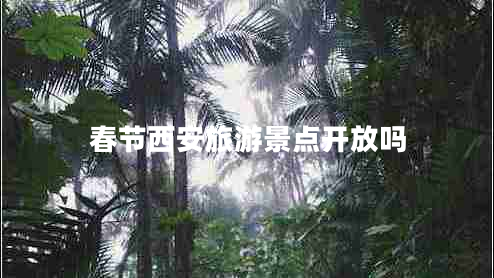 春節西安旅游景點(diǎn)開(kāi)放嗎