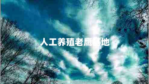 人工養殖老鷹基地