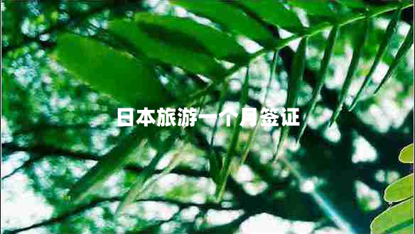 日本旅游一個(gè)月簽證
