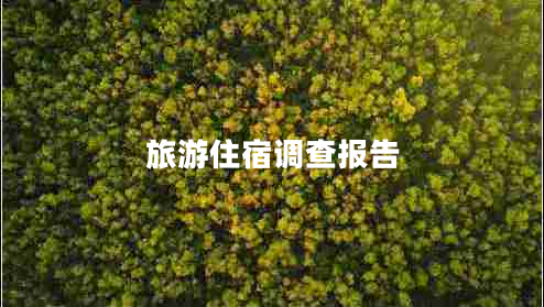 旅游住宿調(diào)查報告