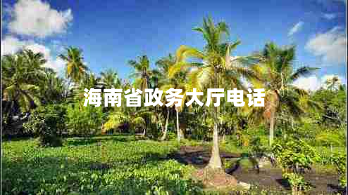 海南省政務(wù)大廳電話(huà)