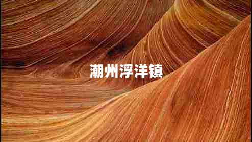 潮州浮洋鎮
