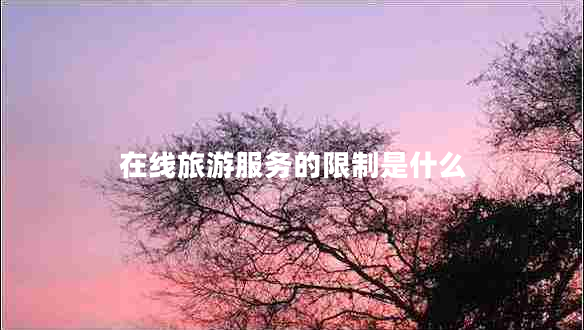 在線(xiàn)旅游服務(wù)的限制是什么
