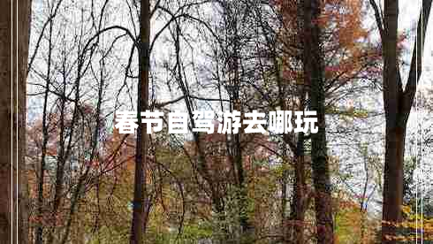 春節自駕游去哪玩