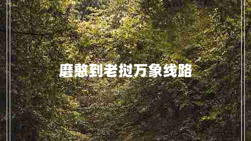 磨憨到老撾萬(wàn)象線(xiàn)路