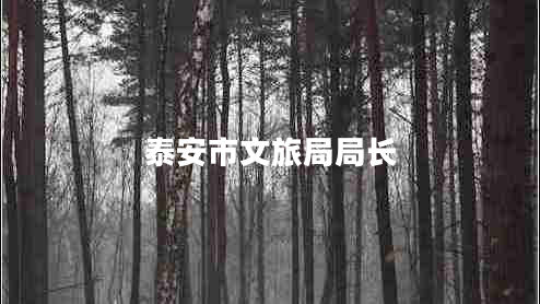泰安市文旅局局長(cháng)