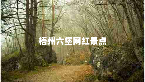 梧州六堡網(wǎng)紅景點(diǎn)