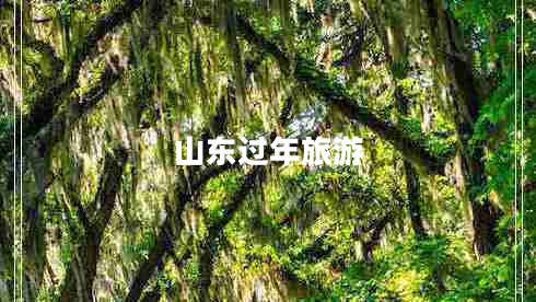 山東過(guò)年旅游