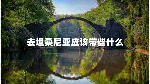 去坦桑尼亞應該帶些什么