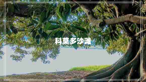 科莫多沙灘