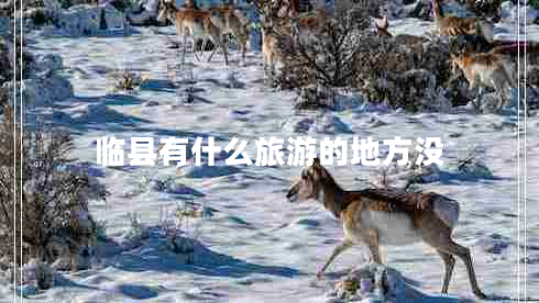 臨縣有什么旅游的地方?jīng)]