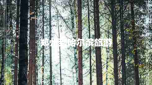 鄭州到哈爾濱旅游