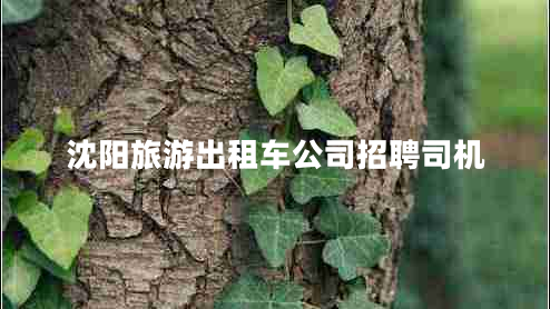 沈陽旅游出租車公司招聘司機(jī)