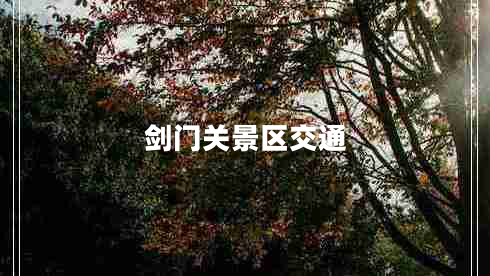 劍門(mén)關(guān)景區交通