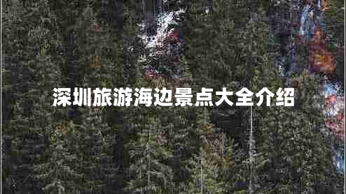 深圳旅游海邊景點(diǎn)大全介紹