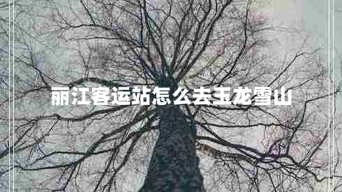 麗江客運站怎么去玉龍雪山