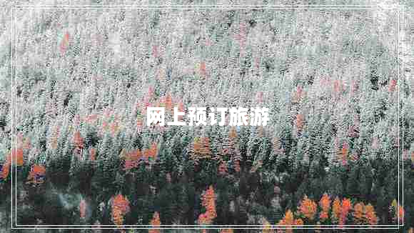 網(wǎng)上預訂旅游