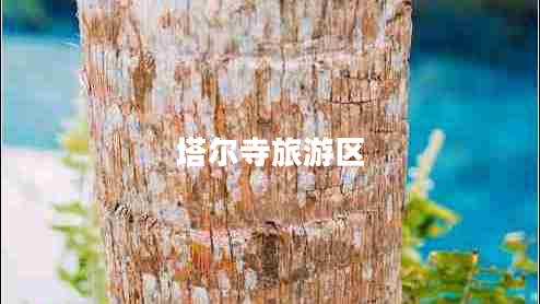 塔爾寺旅游區