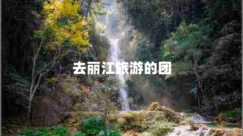 去麗江旅游的團