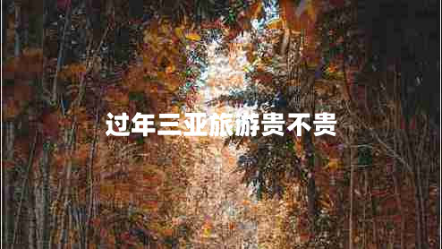 過(guò)年三亞旅游貴不貴