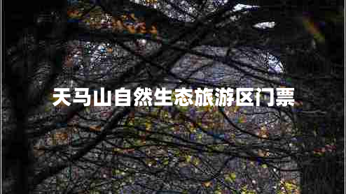 天馬山自然生態(tài)旅游區門(mén)票