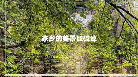 家鄉的美景紅堿淖