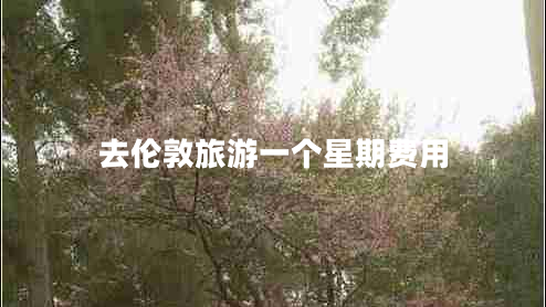 去倫敦旅游一個(gè)星期費用