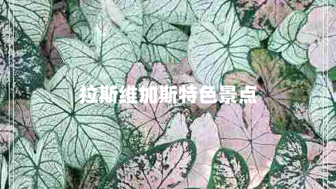 拉斯維加斯特色景點(diǎn)