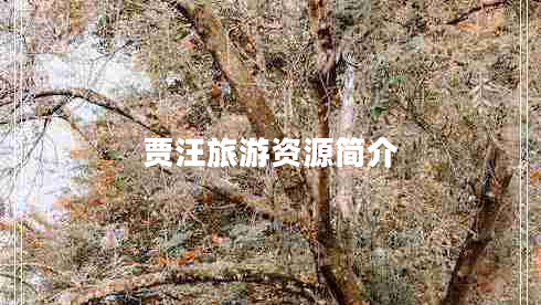 賈汪旅游資源簡(jiǎn)介