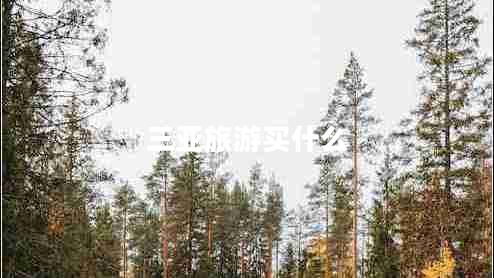 三亞旅游買(mǎi)什么
